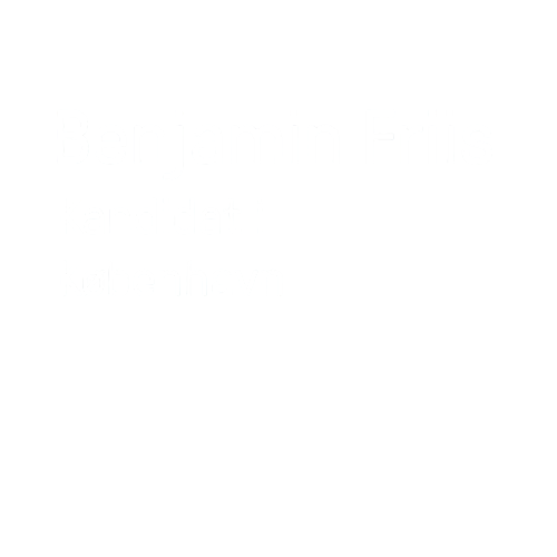 Benjamin Friis Kandidat i København